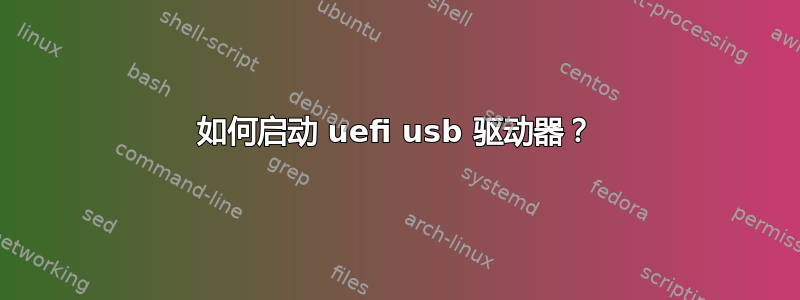 如何启动 uefi usb 驱动器？