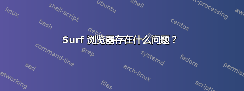 Surf 浏览器存在什么问题？