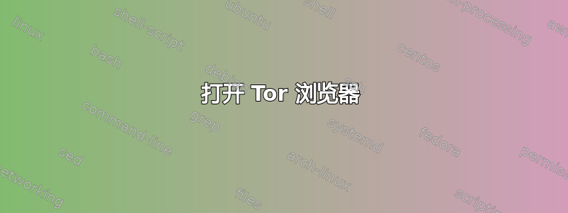 打开 Tor 浏览器