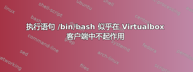 执行语句 /bin/bash 似乎在 Virtualbox 客户端中不起作用