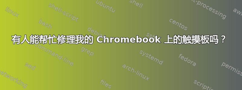 有人能帮忙修理我的 Chromebook 上的触摸板吗？