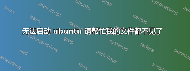 无法启动 ubuntu 请帮忙我的文件都不见了 