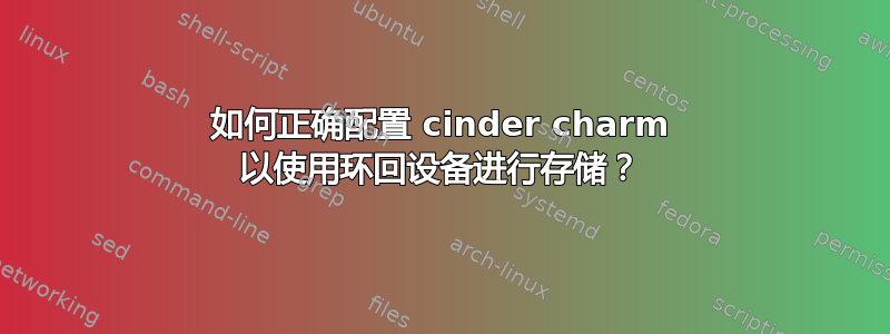 如何正确配置 cinder charm 以使用环回设备进行存储？