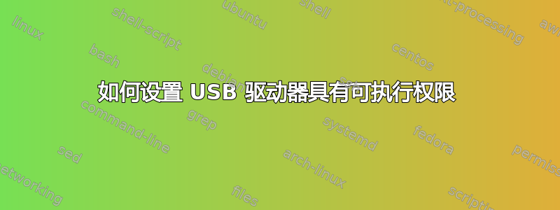 如何设置 USB 驱动器具有可执行权限