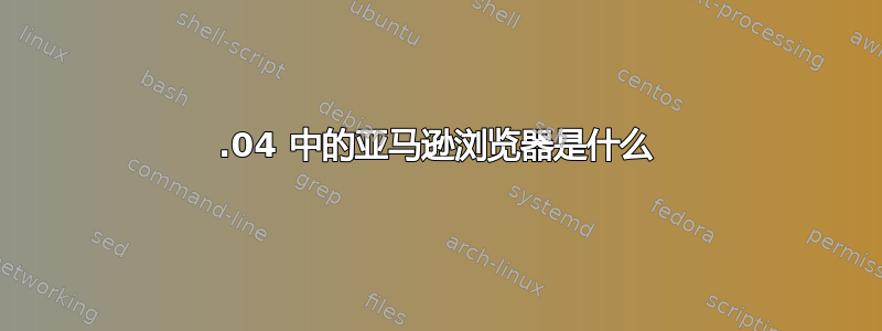 14.04 中的亚马逊浏览器是什么