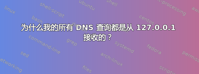 为什么我的所有 DNS 查询都是从 127.0.0.1 接收的？