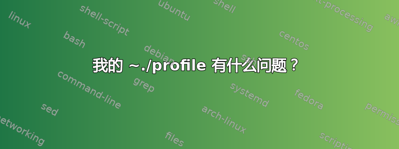 我的 ~./profile 有什么问题？