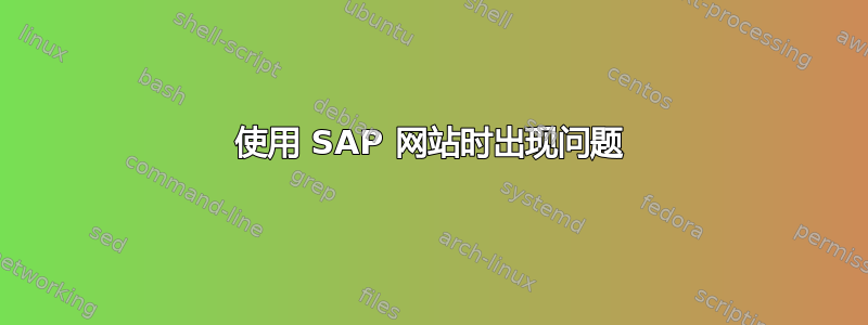 使用 SAP 网站时出现问题