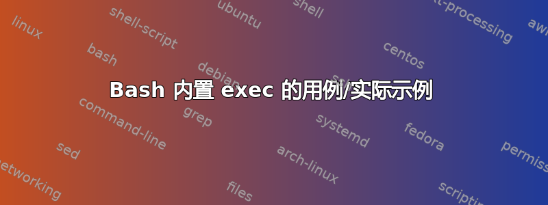 Bash 内置 exec 的用例/实际示例