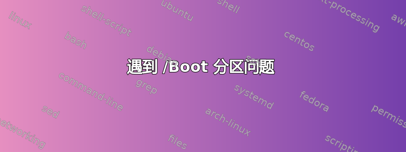 遇到 /Boot 分区问题