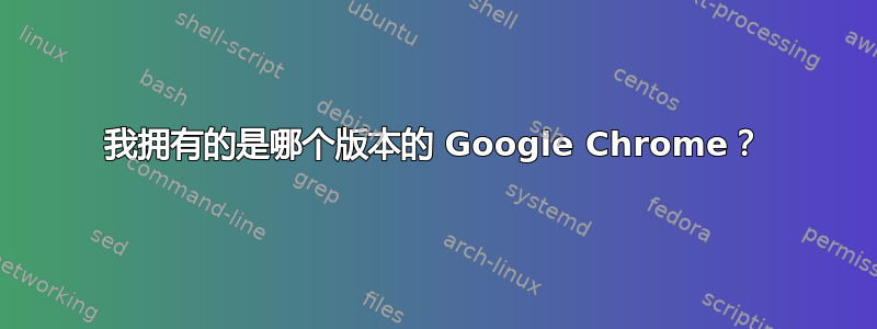 我拥有的是哪个版本的 Google Chrome？