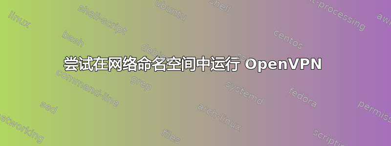 尝试在网络命名空间中运行 OpenVPN