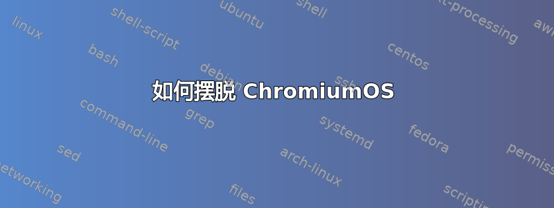 如何摆脱 ChromiumOS