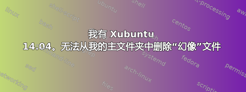 我有 Xubuntu 14.04。无法从我的主文件夹中删除“幻像”文件