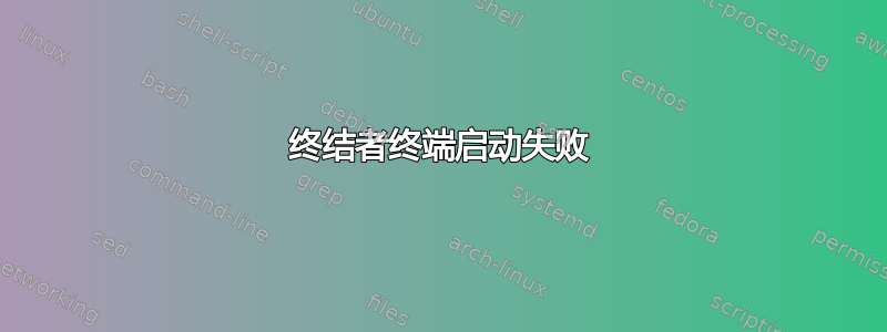 终结者终端启动失败