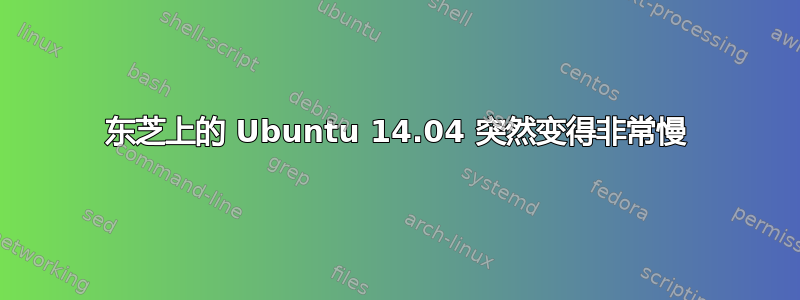 东芝上的 Ubuntu 14.04 突然变得非常慢