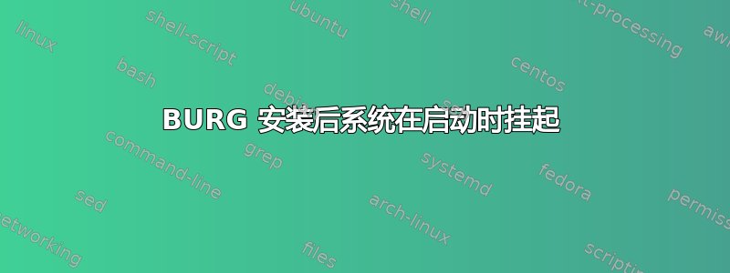 BURG 安装后系统在启动时挂起