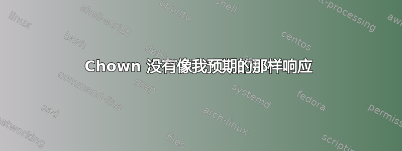 Chown 没有像我预期的那样响应