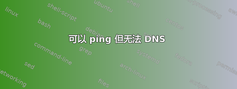 可以 ping 但无法 DNS