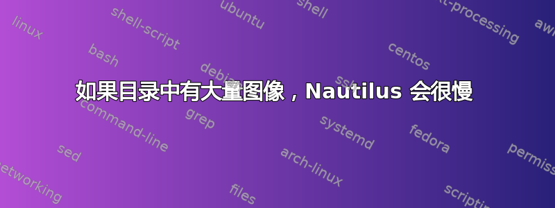 如果目录中有大量图像，Nautilus 会很慢