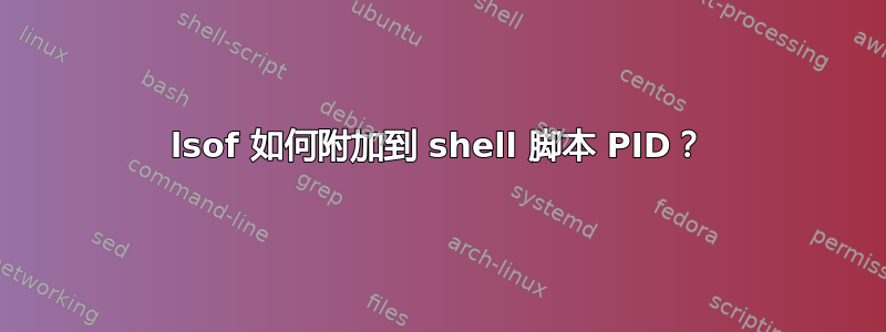 lsof 如何附加到 shell 脚本 PID？