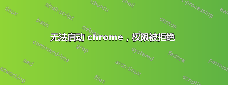 无法启动 chrome，权限被拒绝