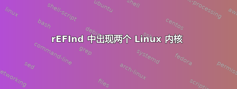 rEFInd 中出现两个 Linux 内核