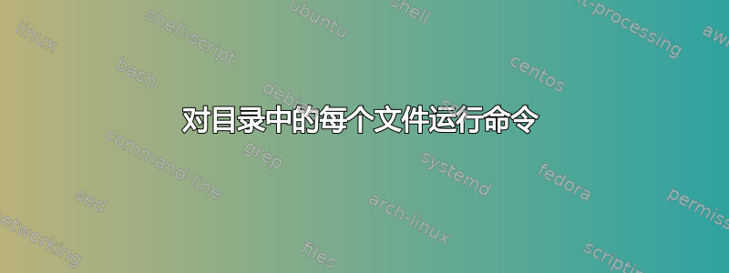 对目录中的每个文件运行命令