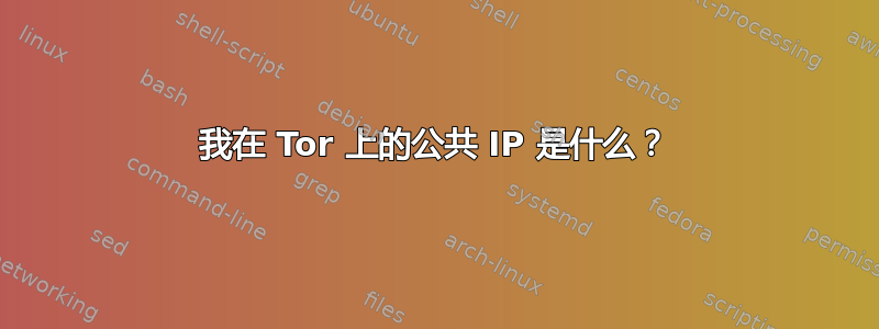 我在 Tor 上的公共 IP 是什么？