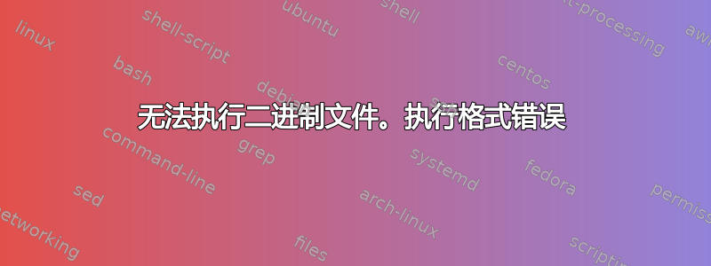 无法执行二进制文件。执行格式错误