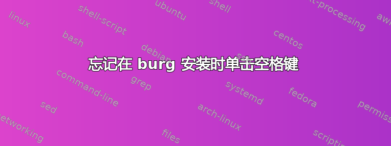 忘记在 burg 安装时单击空格键