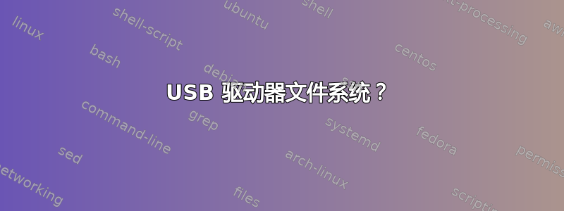 USB 驱动器文件系统？