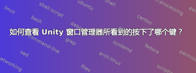 如何查看 Unity 窗口管理器所看到的按下了哪个键？