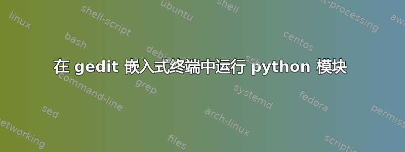 在 gedit 嵌入式终端中运行 python 模块