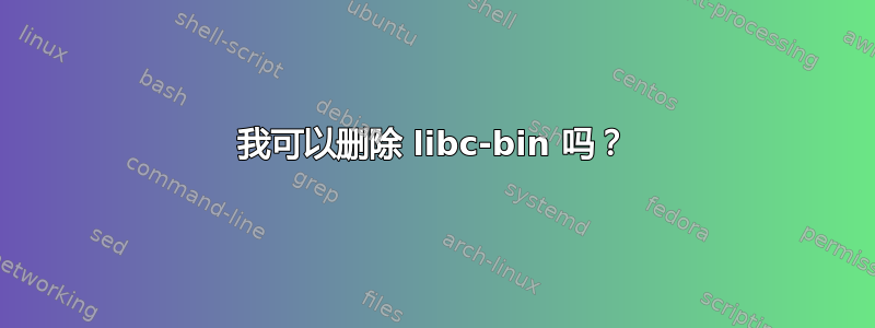 我可以删除 libc-bin 吗？