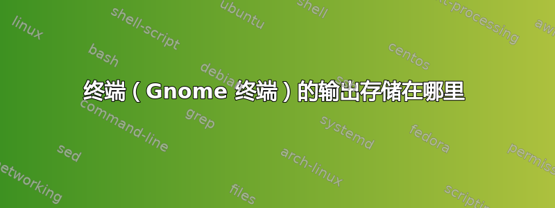 终端（Gnome 终端）的输出存储在哪里