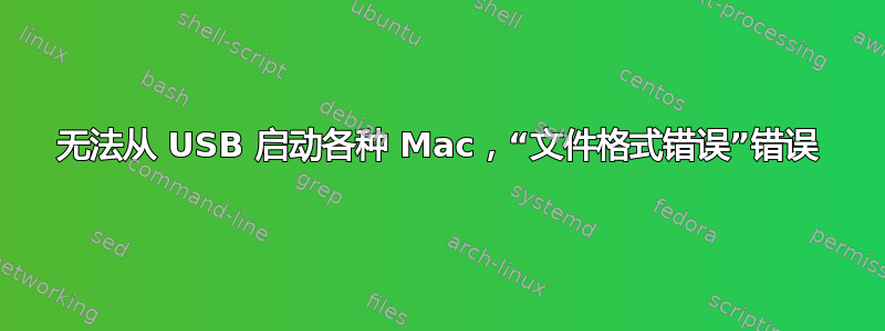 无法从 USB 启动各种 Mac，“文件格式错误”错误