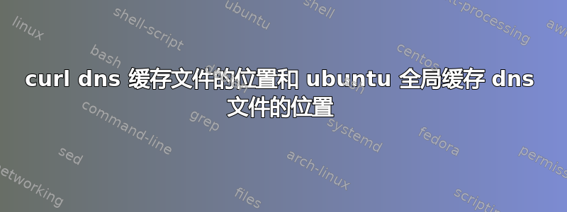 curl dns 缓存文件的位置和 ubuntu 全局缓存 dns 文件的位置