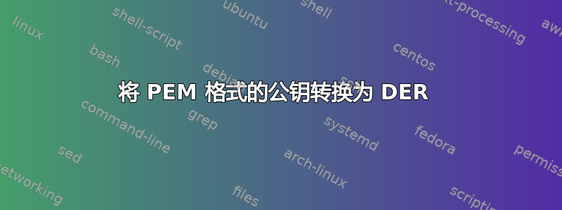 将 PEM 格式的公钥转换为 DER 