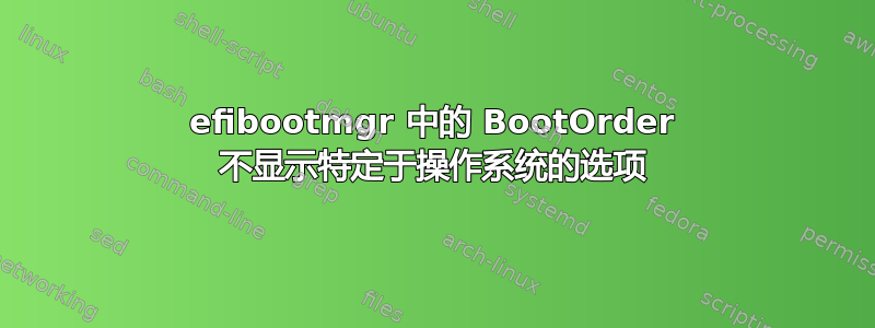 efibootmgr 中的 BootOrder 不显示特定于操作系统的选项