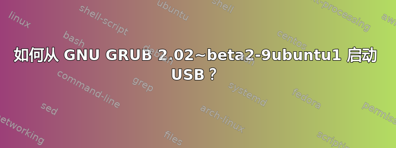 如何从 GNU GRUB 2.02~beta2-9ubuntu1 启动 USB？