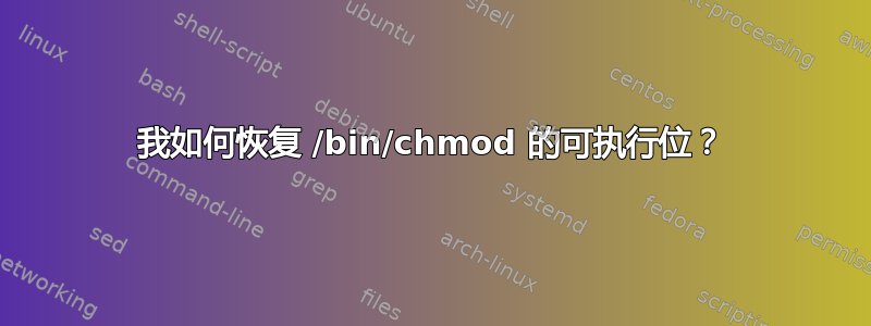 我如何恢复 /bin/chmod 的可执行位？