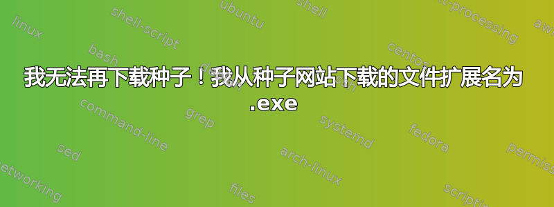 我无法再下载种子！我从种子网站下载的文件扩展名为 .exe