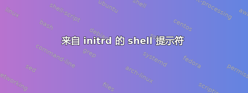 来自 initrd 的 shell 提示符