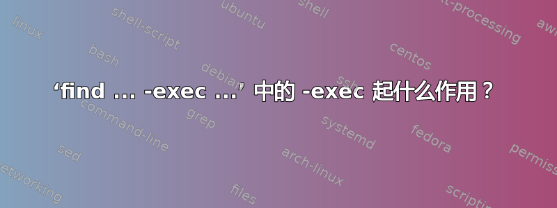 ‘find ... -exec ...’ 中的 -exec 起什么作用？