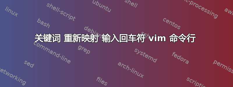 关键词 重新映射 输入回车符 vim 命令行