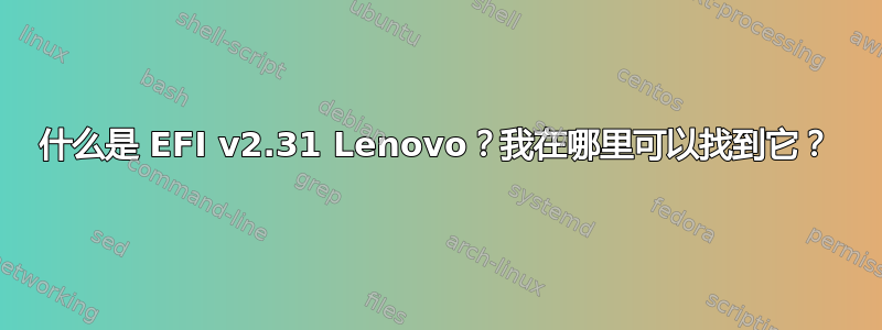 什么是 EFI v2.31 Lenovo？我在哪里可以找到它？