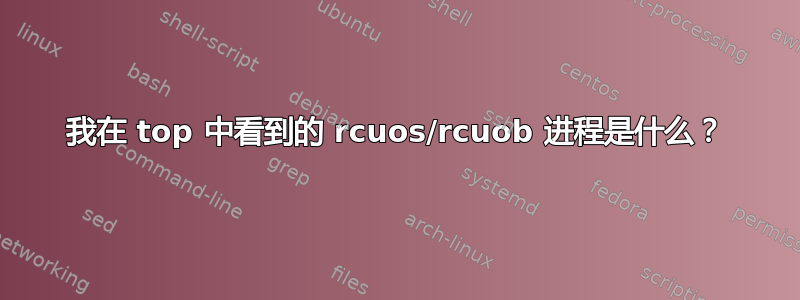 我在 top 中看到的 rcuos/rcuob 进程是什么？