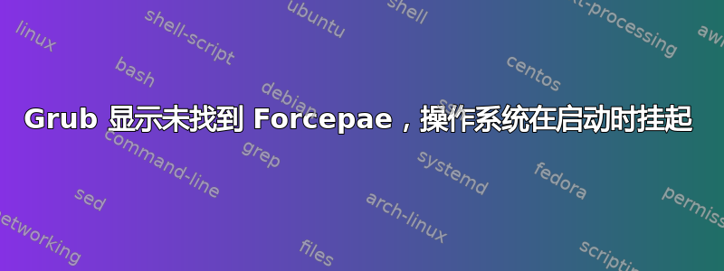 Grub 显示未找到 Forcepae，操作系统在启动时挂起