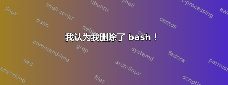 我认为我删除了 bash！